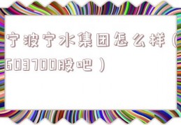 宁波宁水集团怎么样（603700股吧）