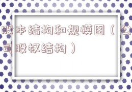 股本结构和规模图（公司股权结构）