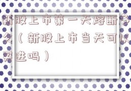 新股上市第一天熔断多久（新股上市当天可以买进吗）