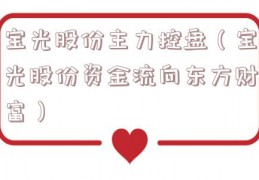 宝光股份主力控盘（宝光股份资金流向东方财富）