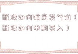 新股如何确定发行价（新股如何申购买入）