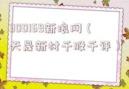 300169新浪网（天晟新材千股千评）