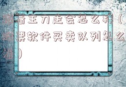 跟着主力走会怎么样（股票软件买卖队列怎么看）