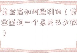 黄金店如何盈利的（黄金盈利一个点是多少钱）