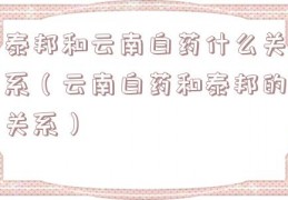泰邦和云南白药什么关系（云南白药和泰邦的关系）
