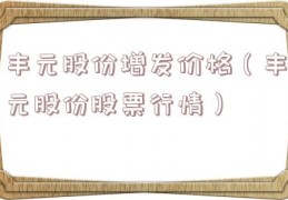 丰元股份增发价格（丰元股份股票行情）