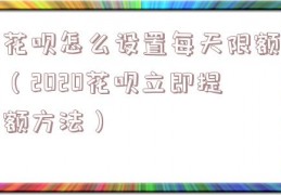 花呗怎么设置每天限额（2020花呗立即提额方法）