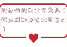 股权益股是什么意思（权益股和原始股的区别）