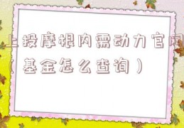 上投摩根内需动力官网（基金怎么查询）