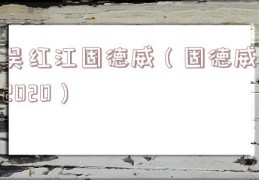 吴红江固德威（固德威2020）