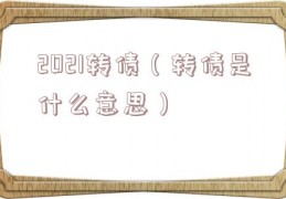 2021转债（转债是什么意思）