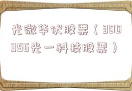 光微华伏股票（300356光一科技股票）