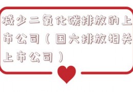 减少二氧化碳排放的上市公司（国六排放相关上市公司）