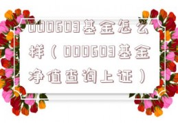 000603基金怎么样（000603基金净值查询上证）