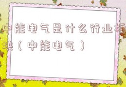中能电气是什么行业板块（中能电气）