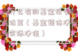 为什么有的基金没有净值估算（基金预估净值与实际净值）