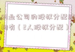创业公司的股权分配结构有（2人股权分配）