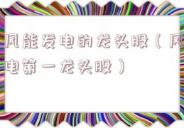 风能发电的龙头股（风电第一龙头股）
