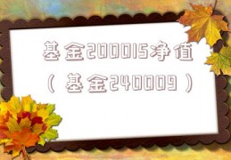基金200015净值（基金240009）