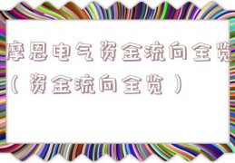 摩恩电气资金流向全览（资金流向全览）