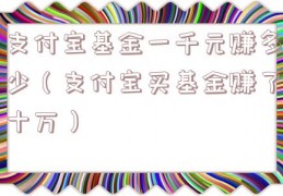 支付宝基金一千元赚多少（支付宝买基金赚了十万）