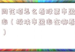 同花顺怎么看股票市盈率（板块市盈率在哪看）