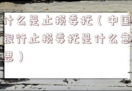 什么是止损委托（中国银行止损委托是什么意思）