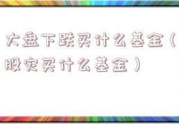 大盘下跌买什么基金（股灾买什么基金）