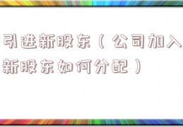 引进新股东（公司加入新股东如何分配）