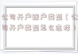 公司开户账户类型（公司开户类型怎么选择）
