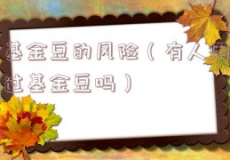 基金豆的风险（有人用过基金豆吗）