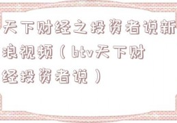 天下财经之投资者说新浪视频（btv天下财经投资者说）