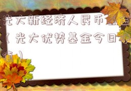 光大新经济人民币基金（光大优势基金今日净值）