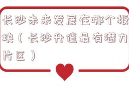 长沙未来发展在哪个板块（长沙升值最有潜力片区）