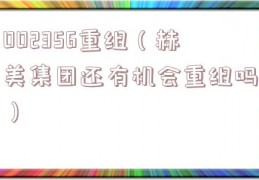 002356重组（赫美集团还有机会重组吗）
