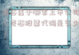 龙芯属于哪家上市公司（龙芯股票代码是多少）