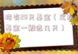 持有20只基金（定投基金一般选几只）