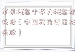 苹果概念十华为概念龙头股（中国芯片真正龙头股）