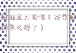 燃油主力股吧（龙宇燃油怎么样了）