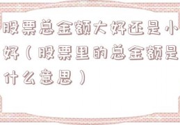 股票总金额大好还是小好（股票里的总金额是什么意思）