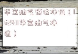 华宝油气预估净值（162411华宝油气净值）
