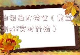 白银最大持仓（黄金白银etf实时行情）
