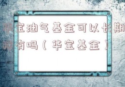 华宝油气基金可以长期持有吗（华宝基金）
