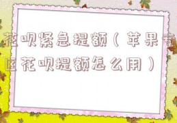 花呗紧急提额（苹果专区花呗提额怎么用）