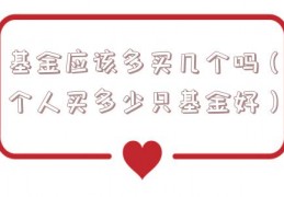 基金应该多买几个吗（个人买多少只基金好）