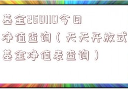 基金260110今日净值查询（天天开放式基金净值表查询）