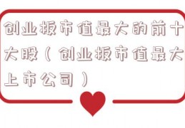 创业板市值最大的前十大股（创业板市值最大上市公司）