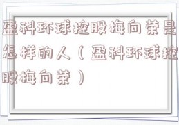 盈科环球控股梅向荣是怎样的人（盈科环球控股梅向荣）