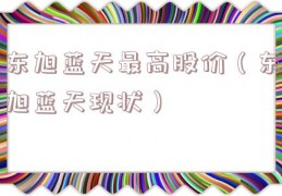 东旭蓝天最高股价（东旭蓝天现状）