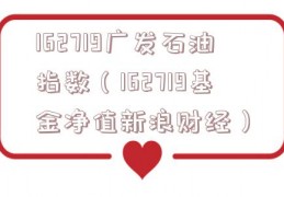 162719广发石油指数（162719基金净值新浪财经）